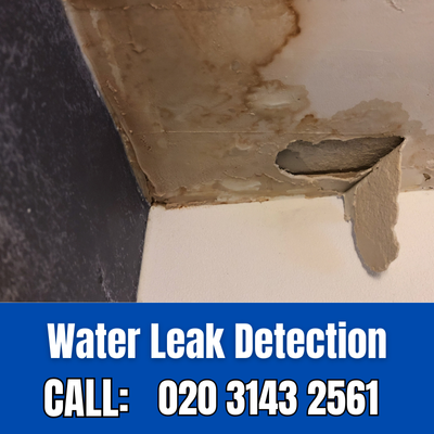 Expert Water Leak Detection Services in Feltham | Feltham Leak Detection